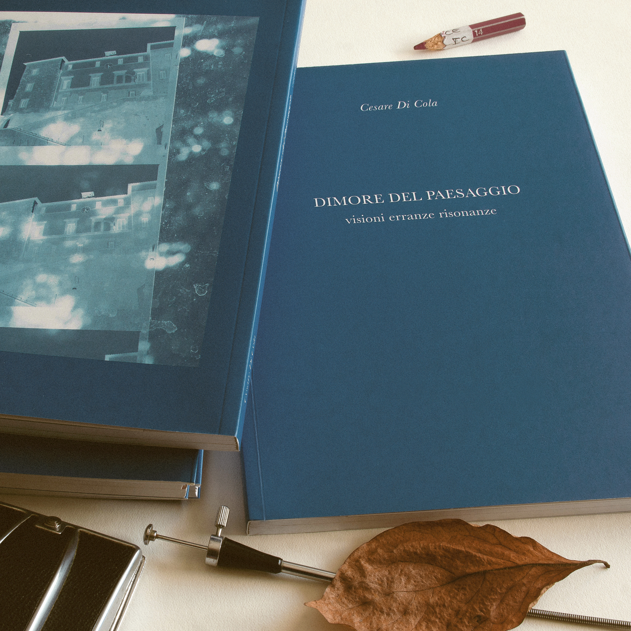 Cesare Di Cola, Dimore del paesaggio, Fornacetredici, 2017